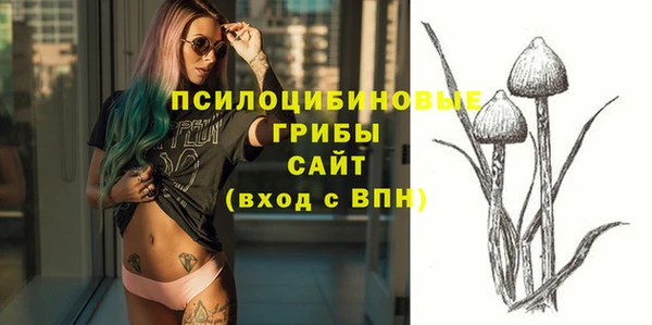 ALPHA PVP Алексеевка