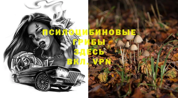 винт Алексин