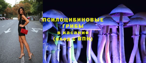 Альфа ПВП Абаза