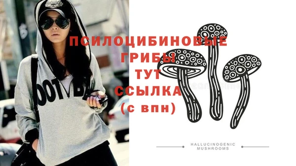 винт Алексин