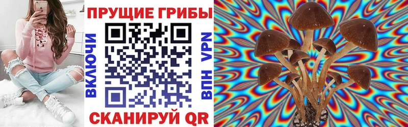 Псилоцибиновые грибы Cubensis  как найти закладки  Егорьевск 