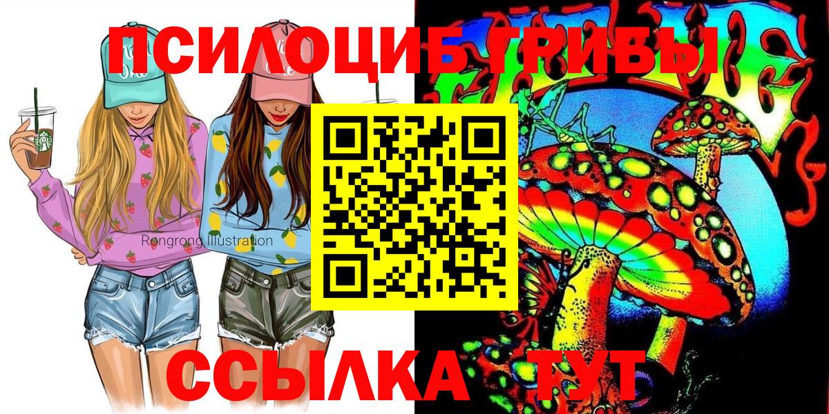 Галлюциногенные грибы Cubensis Егорьевск